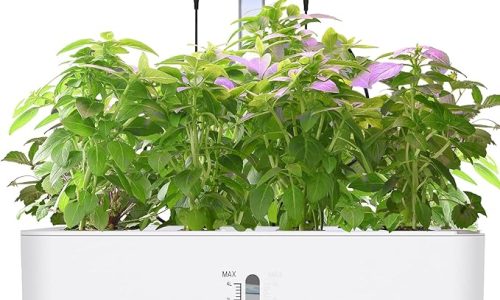 Growing Success: using hydroponics to boost your plants’ growth